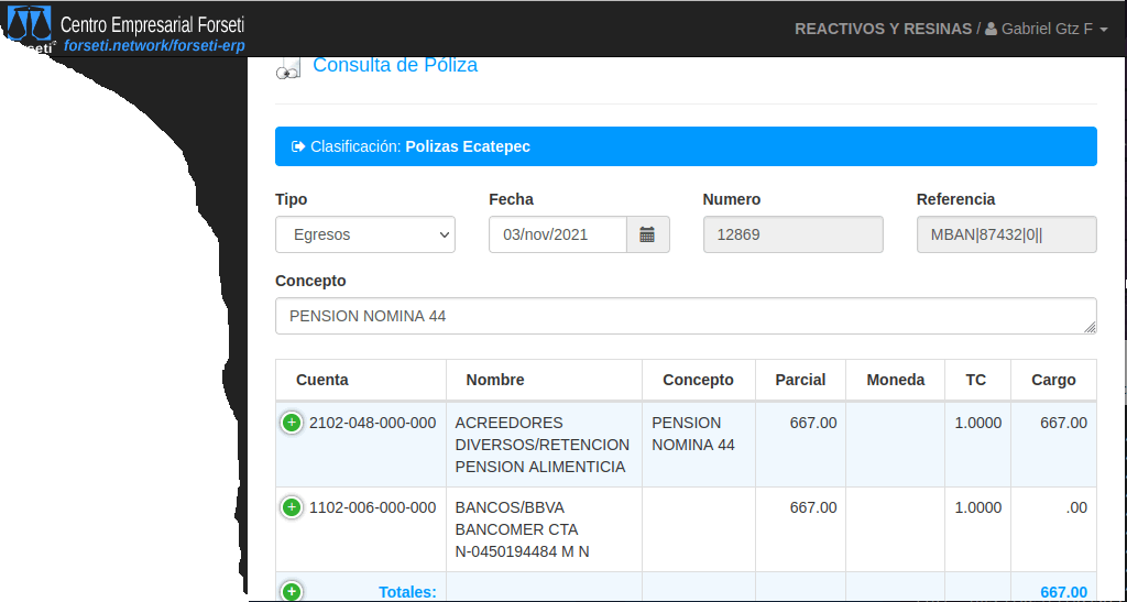 Cuerpo principal del CEF conteniendo vista del proceso de consulta de una póliza